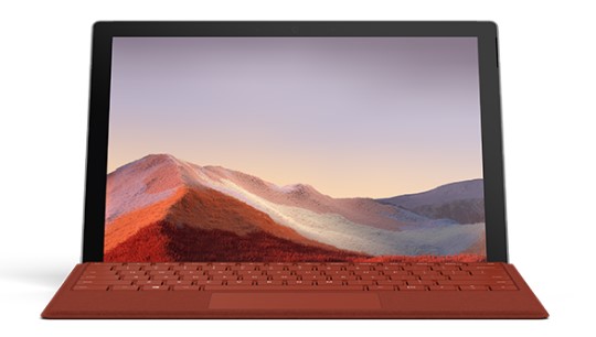 盖州清洁和维护 Surface